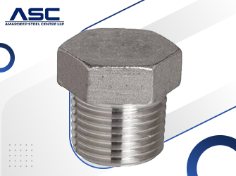ASTM A182 SS 316H Threaded _ Screwed Hex Plug